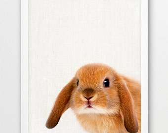 Bunny Print, Cute Rabbit Print, Woodlands Animals Art Photo, Printable Nursery Animal Wall Art, Bunny Color Photography, Kids Room DIY Decor