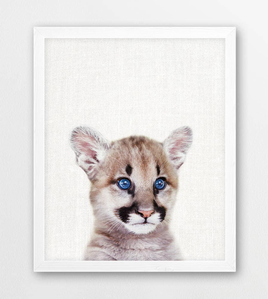 Baby puma animal for sale cheap
