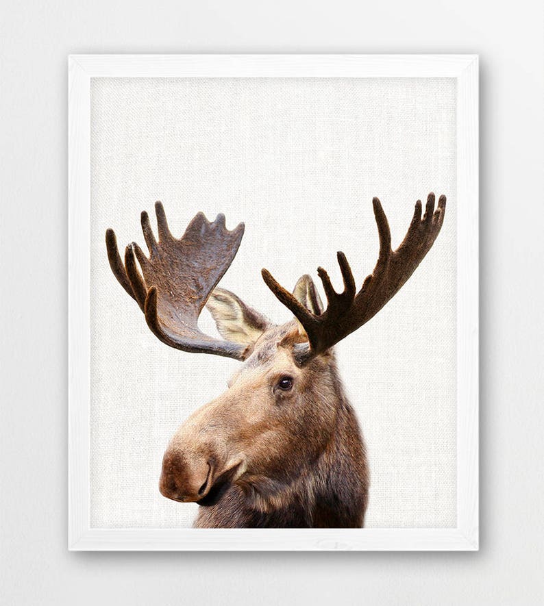 Woodland Nursery Decor Animals Print Set of Four Bear Moose Etsy