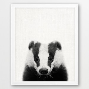 Badger Print, Baby Badger Photo Print, Woodlands Animals Black White Photography, Nursery Cute Animals Wall Art, Kids Room Printable Decor