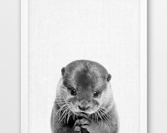 Baby Otter Black and White Photo Print, Nursery Decor (Digital Download)