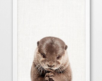 Baby Otter Photo Print, Nursery Wall Art (Digital Download)