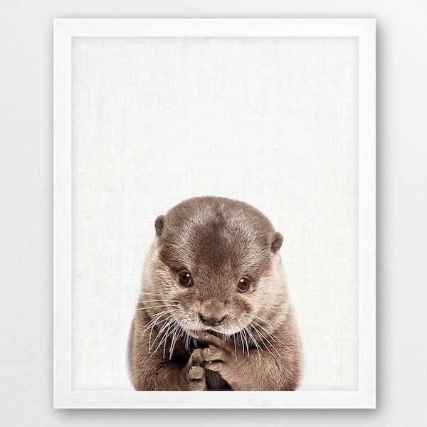 Otter Print, Baby Otter Photo, Woodlands Animals Art Photography, Baby Shower Nursery Wall Art, Cute Animals Color Print,Kids Room Art Decor