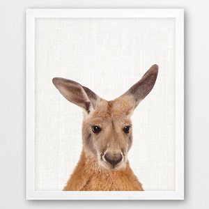 Kangaroo Print, Kangaroo Photography, Australian Cute Animals Art Photo, Nursery Animal Wall Art, Kids Room Decor Color Photo, Printable Art