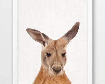 Wydruk fotografii australijskiego kangura, słodka sztuka ścienna ze zwierzętami (do pobrania w wersji cyfrowej)