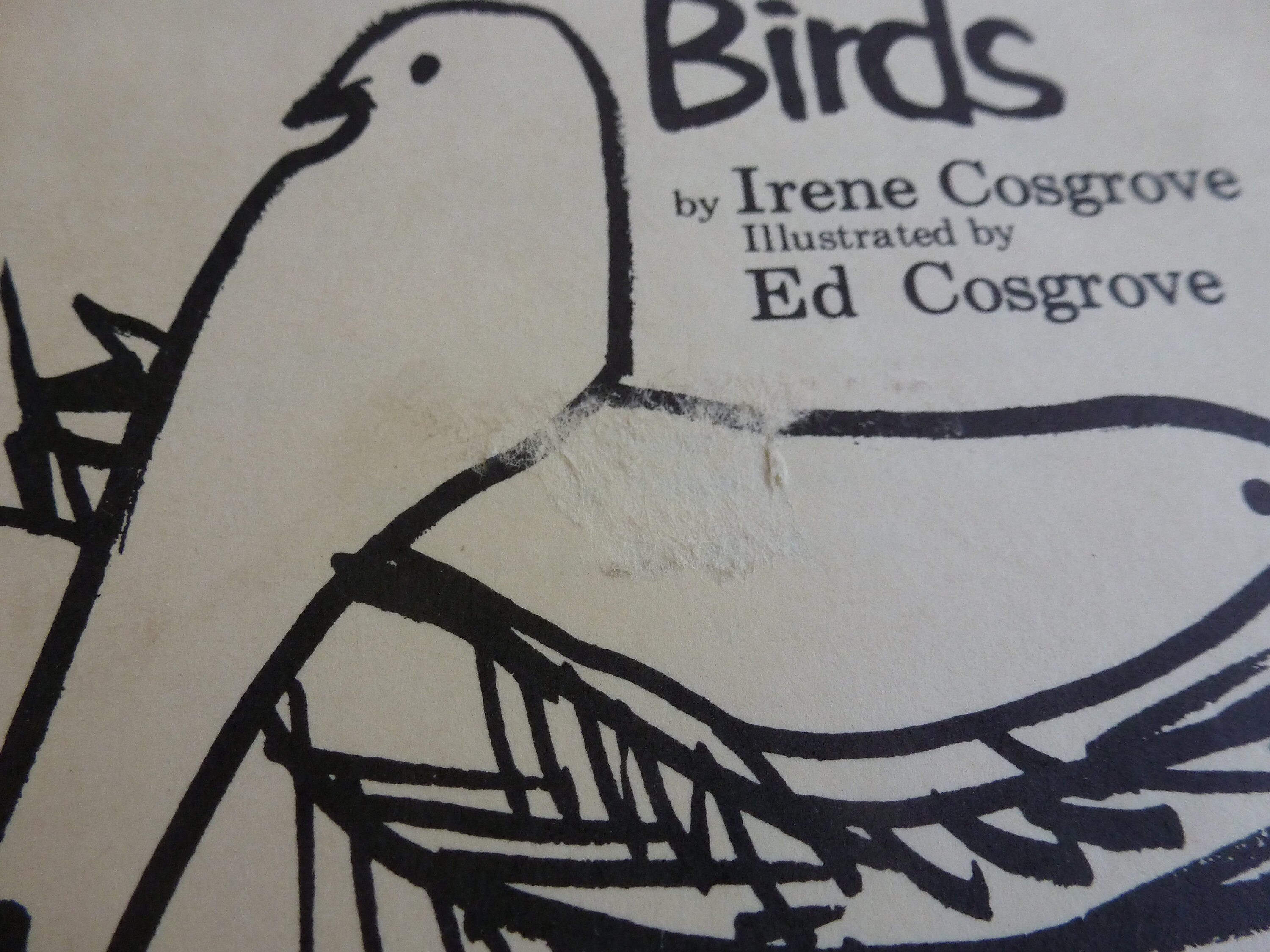 Vintage Bird Food Recipe Book Cosgrove