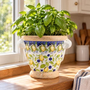 May include: A ceramic planter with a wide rim and two side handles, featuring a hand-painted pattern of yellow lemons, green leaves, and small blue flowers on a white background, containing a lush green basil plant with many leaves.