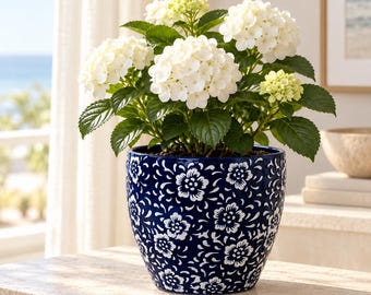 May include: A potted hydrangea plant with clusters of white flowers and green leaves, housed in a deep blue ceramic planter featuring a repeating white floral pattern with delicate swirling vine details across the exterior surface.