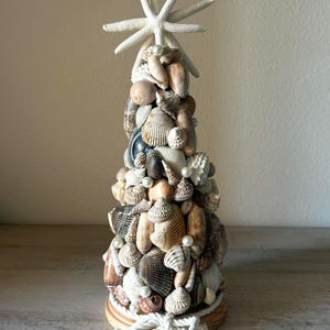 Kerstboom van schelpen in Florida | Zeesterren | Feestdecoratie | Kustdecoratie | Strandvakantie | Schelpenboom | Kerst van schelpen | Handgemaakt