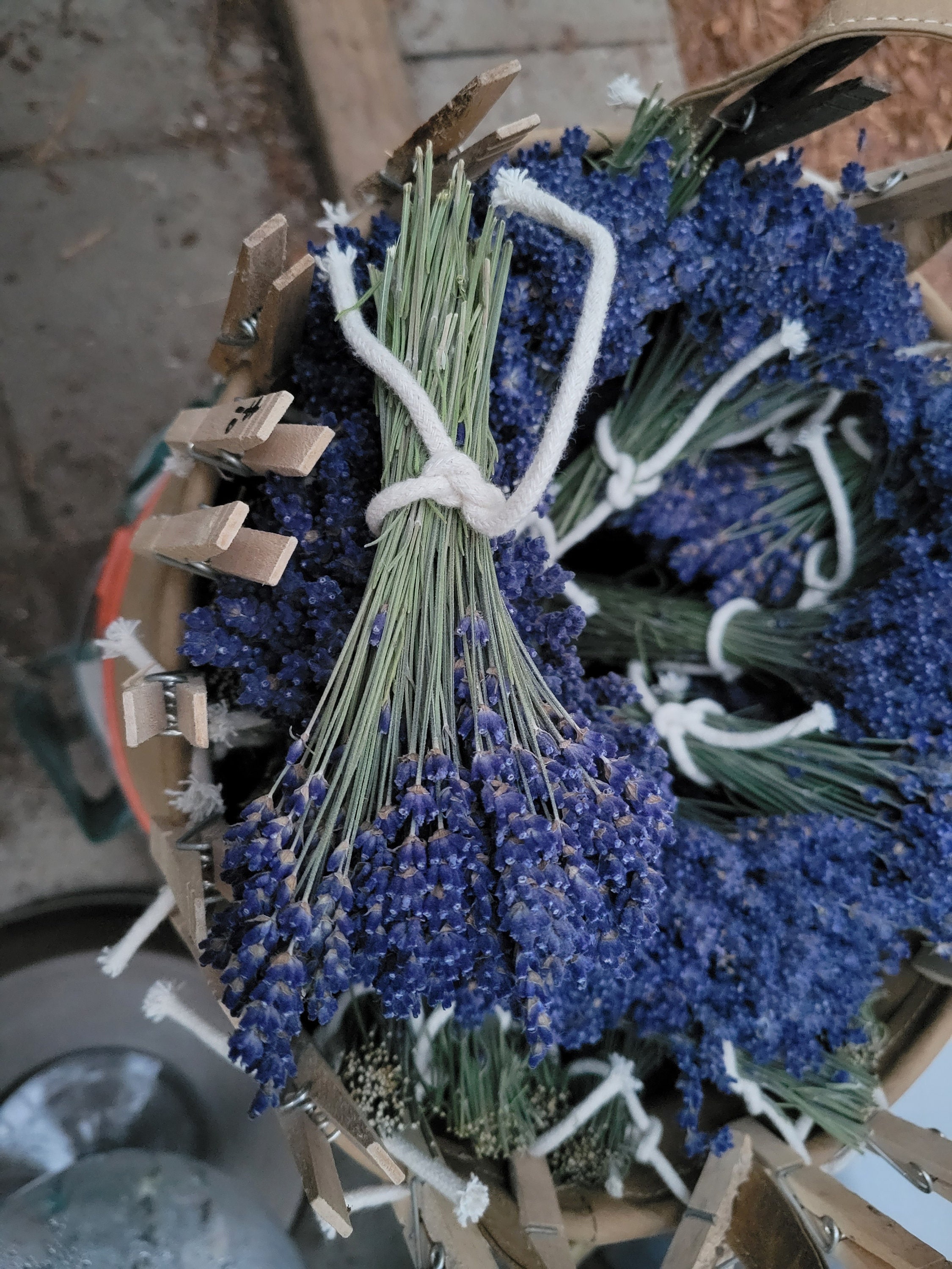British Natural Dried LAVENDER Bunch DARK BLUE Fragrant English
