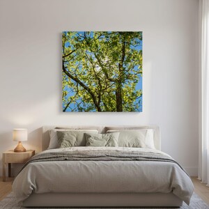 May include: A square wall art print featuring a low-angle view of tree branches with vibrant green leaves against a clear blue sky. Sunlight filters through the canopy, creating a bright, natural glow across the foliage and dark tree trunks.