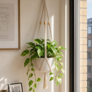 Peut inclure: Un pot de fleurs en céramique blanche suspendu par un support en macramé couleur crème, orné de motifs de cordes nouées et de trois perles en bois clair. Une plante pothos aux feuilles vertes et jaunes retombe du pot suspendu.