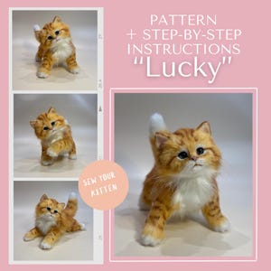 Pode incluir: Um molde de costura e instrucoes passo a passo intituladas Lucky para um gatinho malhado laranja de pelucia com patas e peito brancos. A imagem mostra quatro vistas do gatinho acabado em varias poses contra um fundo rosa claro.