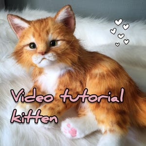 Een videotutorial over het naaien van een realistisch roodharig kattenspeeltje, een patroon voor een kat van imitatiebont, een doe-het-zelf-speeltje.
