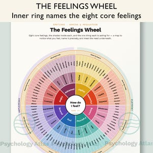 Feelings Wheel Coping Skills Emotion Chart for Therapists Self-Help Emotional Regulation Naming Map Mental Health Download PDF