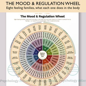 May include: A circular Mood and Regulation Wheel chart featuring eight colored segments representing feeling families. The center reads Notice Name Act. Text labels describe body sensations and regulation strategies in a radial layout.