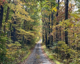 Shenandoah Valley Country Lane Photograph Tile - Coming Home
