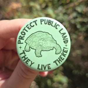 May include: A round pinback button with a light green background featuring a dark green line drawing of a tortoise in the center. The text surrounding the tortoise reads PROTECT PUBLIC LAND THEY LIVE THERE in a circular dark green font.