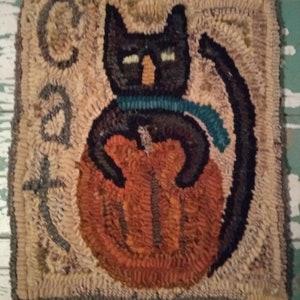 Hand hooked wool rug