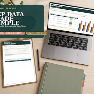 IEP-doeltracker Google Sheets Excel-dashboard Gegevensverzameling Speciaal Onderwijsformulieren