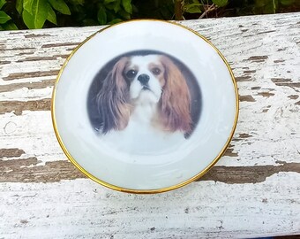 REDUCED Cavalier King Charles Spaniel Dog Portrait Mini Plate