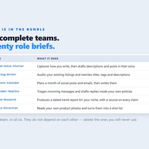 Codex AI Agent Bundle, 6 teams, 20 agents voor online winkelverkopers, Claude Code afbeelding 5