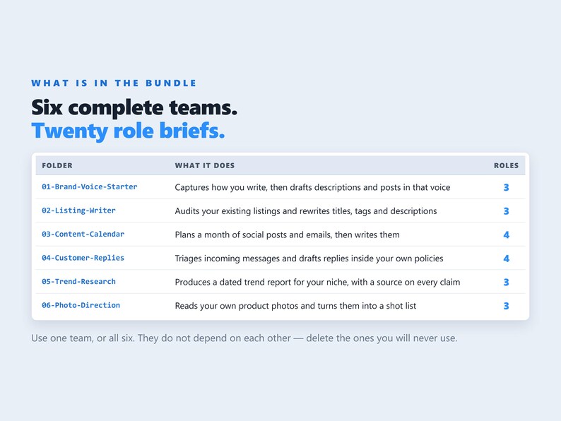 Codex AI Agent Bundle, 6 teams, 20 agents voor online winkelverkopers, Claude Code afbeelding 5