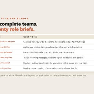 Pacchetto di agenti AI Claude Code, 6 team, 20 agenti per venditori di negozi online, Codex immagine 5