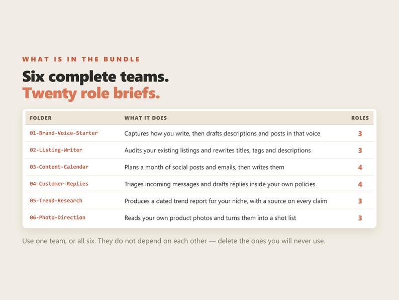 Pacchetto di agenti AI Claude Code, 6 team, 20 agenti per venditori di negozi online, Codex immagine 5