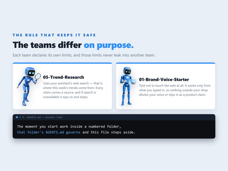 Codex AI Agent Bundle, 6 teams, 20 agents voor online winkelverkopers, Claude Code afbeelding 9