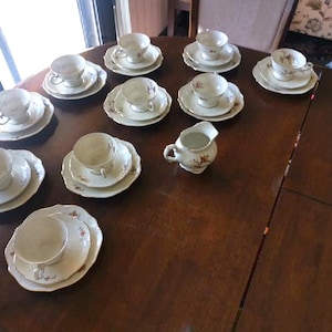 Vintage Porsgrund Norway Vega Coffee Tea Set, 31-Piece Porcelain Service