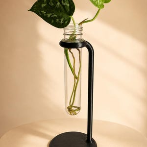 May include: A clear glass test tube propagation station held by a matte black stand with a circular base. The test tube contains water and a green plant cutting with two variegated heart-shaped leaves and visible submerged roots inside the glass.