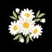 Tinkledaisy store logo