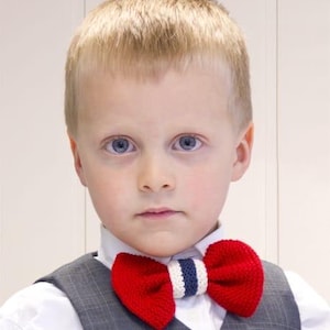 Peut inclure: Un nœud papillon tricoté composé de deux grandes ailes rouges reliées par une bande centrale à rayures verticales blanches, bleu marine et blanches. Le nœud papillon est porté sur une chemise blanche à col et un gilet gris à carreaux.