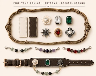 Gestalte dein eigenes Kristall-Haustierhalsband, personalisiertes Halsband aus veganem Leder