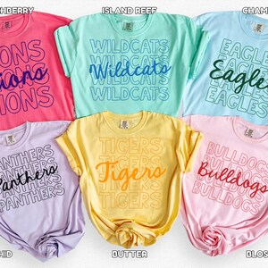 May include: A collection of six colorful t-shirts, each displaying a team name in a stacked design. Colors include pink, light blue, yellow, purple, and light pink. The text on the shirts reads "Lions", "Wildcats", "Eagles", "Panthers", "Tigers", and "Bulldogs".
