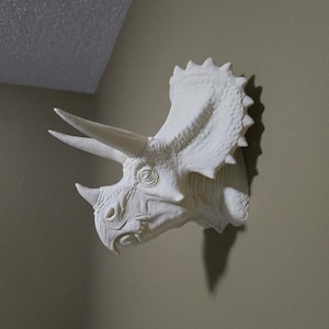 May include: A white wall-mounted triceratops head sculpture featuring a large bony frill with spiked edges, two prominent brow horns, and a smaller nasal horn. The textured surface displays detailed skin folds and eye socket features.