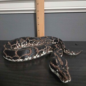 May include: A coiled snake figurine with a black, brown, and white mottled pattern. A wooden ruler is positioned vertically behind the snake, showing the object reaches a height of approximately 8 inches from the base to the top of the ruler.