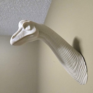 May include: A wall-mounted sculpture of a long-necked dinosaur head and neck. The piece is off-white in color and features a textured, wrinkled skin surface with a defined eye socket, a prominent snout, and a curved neck profile.