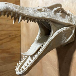 May include: A wall-mounted, off-white sculpture of a dinosaur head with an open jaw, visible sharp teeth, and a textured, scaly surface. The creature is depicted with its mouth wide open, revealing a tongue and detailed interior jaw structure.