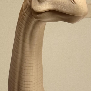 May include: A light tan, sculpted dinosaur head and long neck figurine. The piece features detailed skin texture, a prominent brow ridge, a defined eye socket, and a narrow snout. The surface shows subtle horizontal lines along the neck.