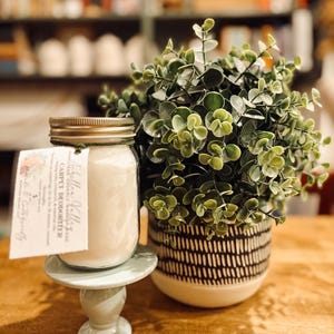 Könnte beinhalten: Ein Glasgefäß mit weißem Pulver, beschriftet mit 'Asheville Valley Carpet Deodorizer', steht auf einem hellblauen Sockel. Daneben befindet sich eine Pflanze in einem schwarz-weiß gemusterten Keramiktopf mit kleinen, runden, grünen Blättern.