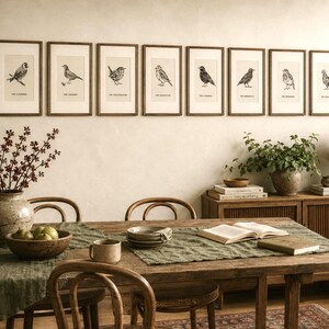 The Bird Society | Digital Artwork BUNDLE | Wall Art & Notelets