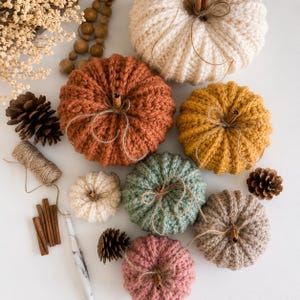 May include: A collection of seven crocheted pumpkins in cream, rust orange, mustard yellow, sage green, dusty rose, and taupe. Each pumpkin features a cinnamon stick stem tied with thin twine. Pinecones, cinnamon sticks, and yarn are nearby.