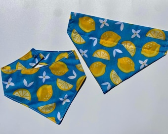 Citrus Lemon Dog Bandana, Snap On or Over the Collar, Pet Accessory