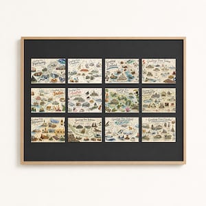 Op de afbeelding: Een ingelijst kunstwerk aan de muur met twaalf individuele geïllustreerde ansichtkaarten met de titels Greetings From Norway, Australia, Finland, Turkey, India, Austria, Costa Rica, Hungary, Morocco, Indonesia, Iceland en Czechia, gerangschikt in een raster op een zwarte mat.