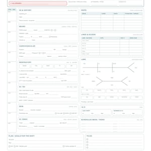 Intensivpflege-Berichtsbogen; Einzelner Patient (Gehirn), Tag- und Nachtschicht, Infusionen, Beatmung und Laborwerte (PDF)