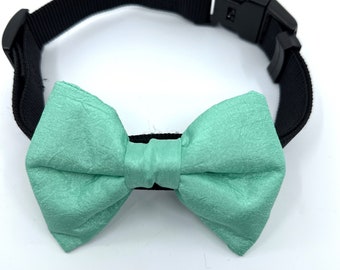 Light Green Dog Bow Tie