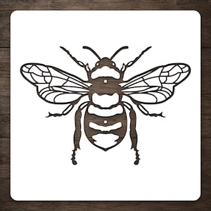 May include: A square stencil featuring a dark brown, detailed cutout of a bee with prominent wings, a segmented body, and antennae. The design is centered on a white background, showcasing the intricate lines and shapes of the insect's anatomy.