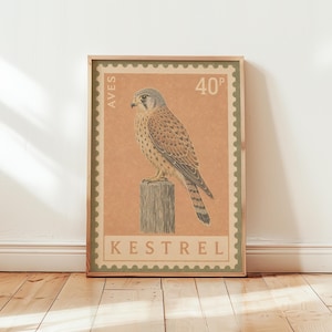 Könnte beinhalten: Ein rechteckiger Wandkunstdruck im Design einer Briefmarke mit einem braun-beigen Turmfalken, der auf einem Holzpfosten sitzt. Der Hintergrund ist in gedämpftem Orange gehalten mit einem grünen gezackten Rand. Text: AVES, 40P und KESTREL.